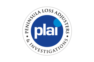 PLAI logo