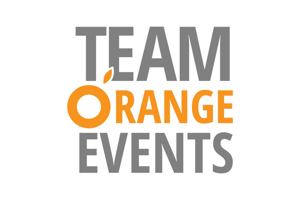 Team Orange logo
